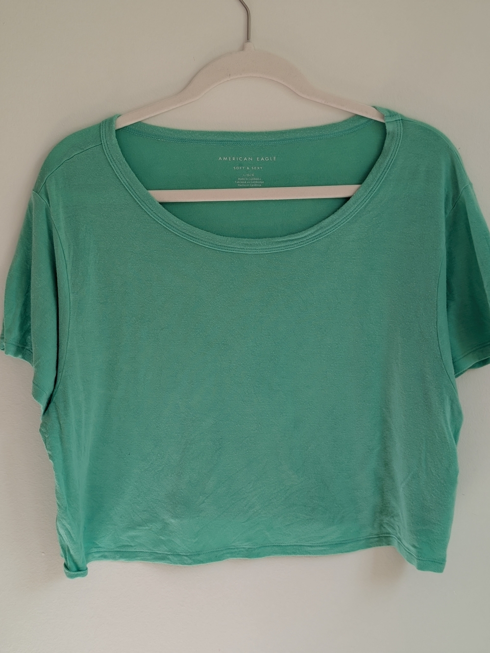 American Eagle Outfitters Mint Scoop Neck Crop Tee